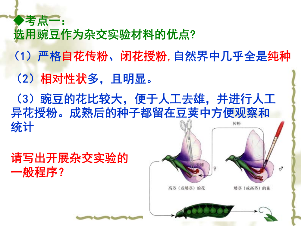 假说—演绎法一对相对性状的杂交试验分离定律的实质