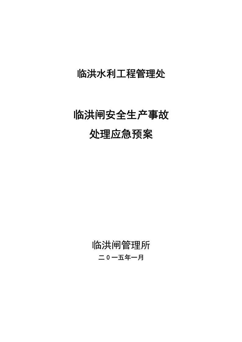 临洪闸安全生产事故处理应急预案版