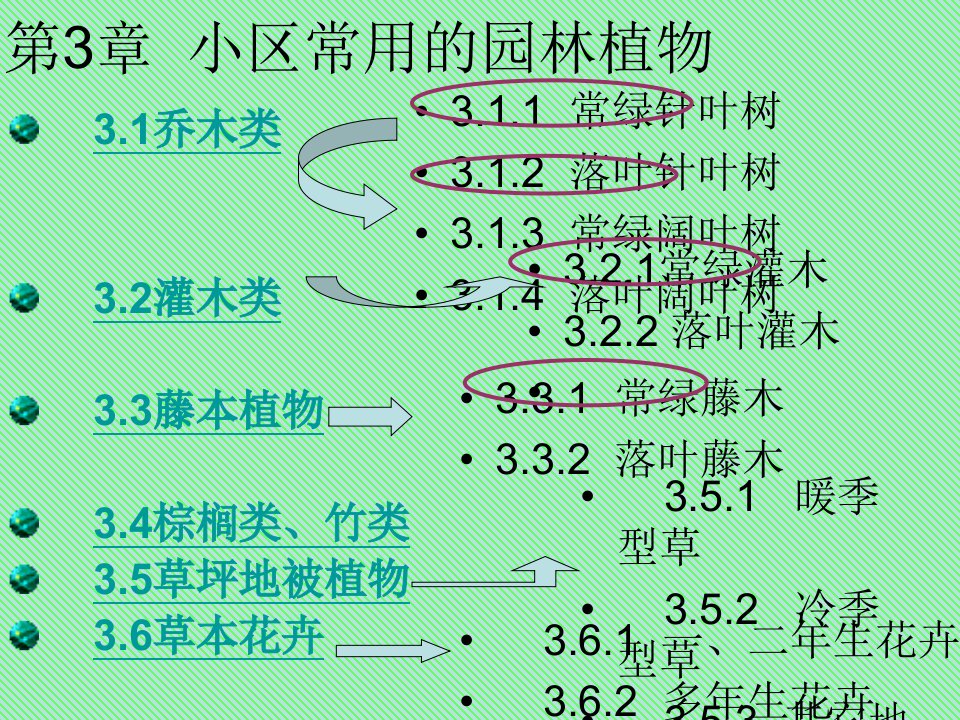 小区常用园林植物