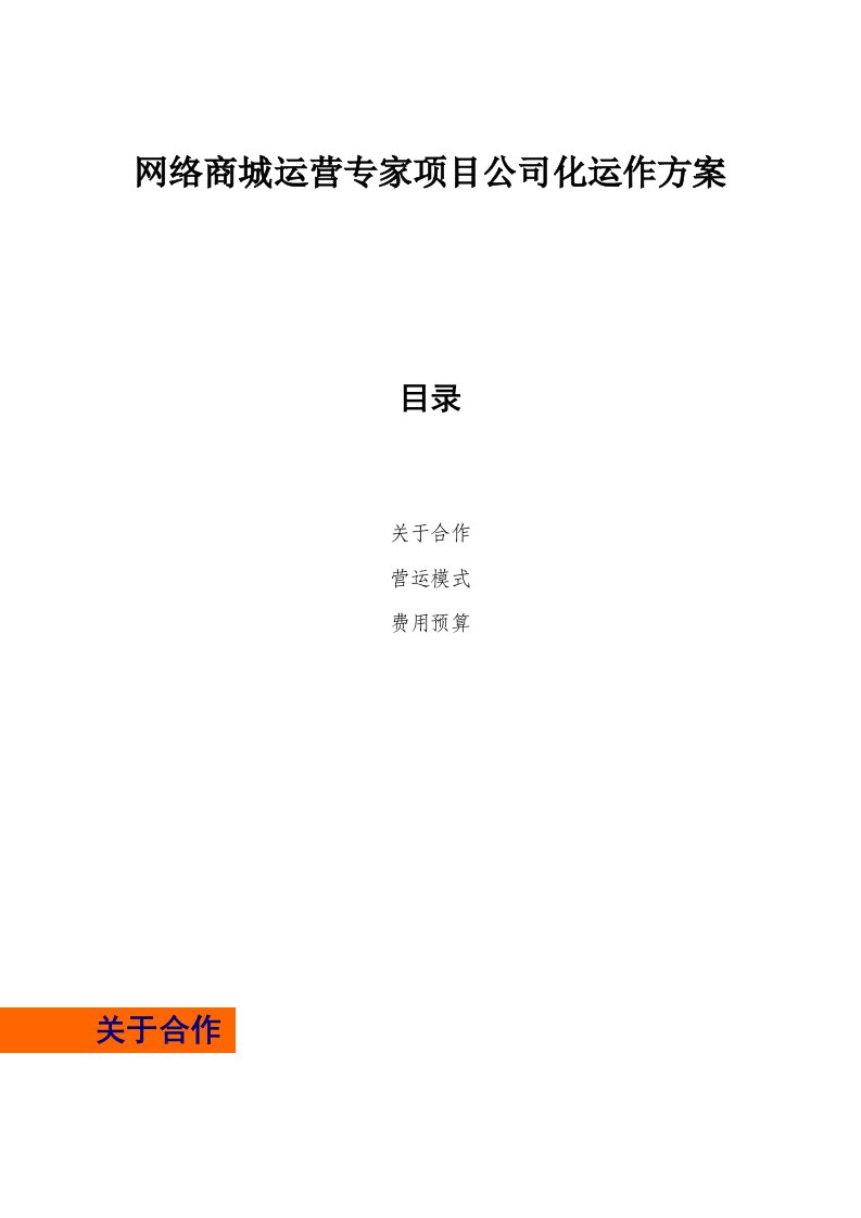 网络商城运营专家项目公司化运作计划书