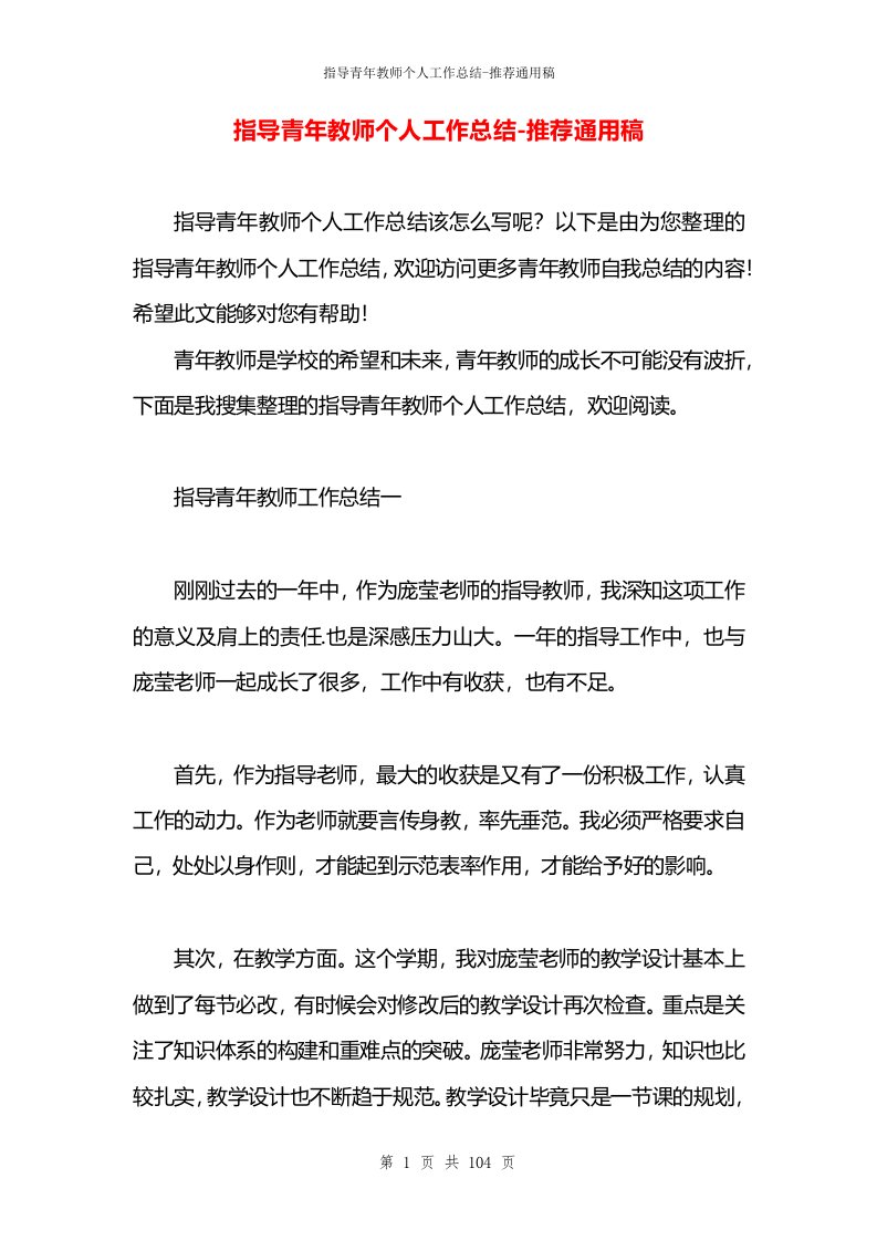 指导青年教师个人工作总结