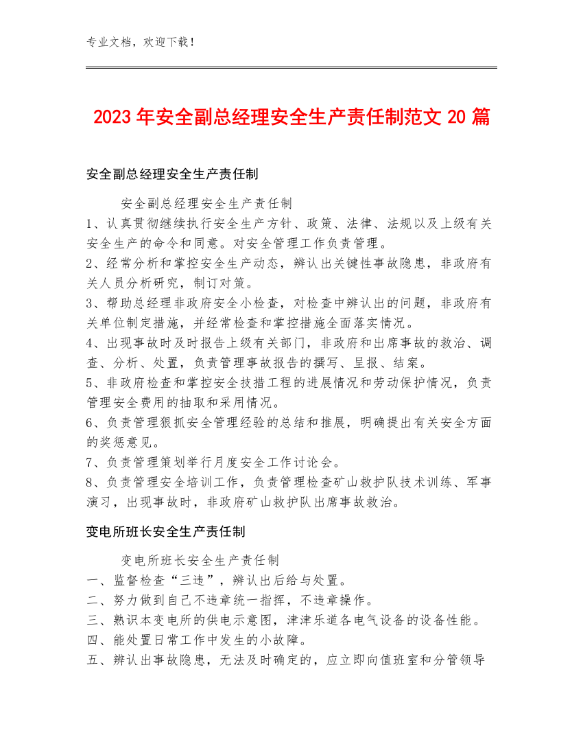 2023年安全副总经理安全生产责任制范文20篇