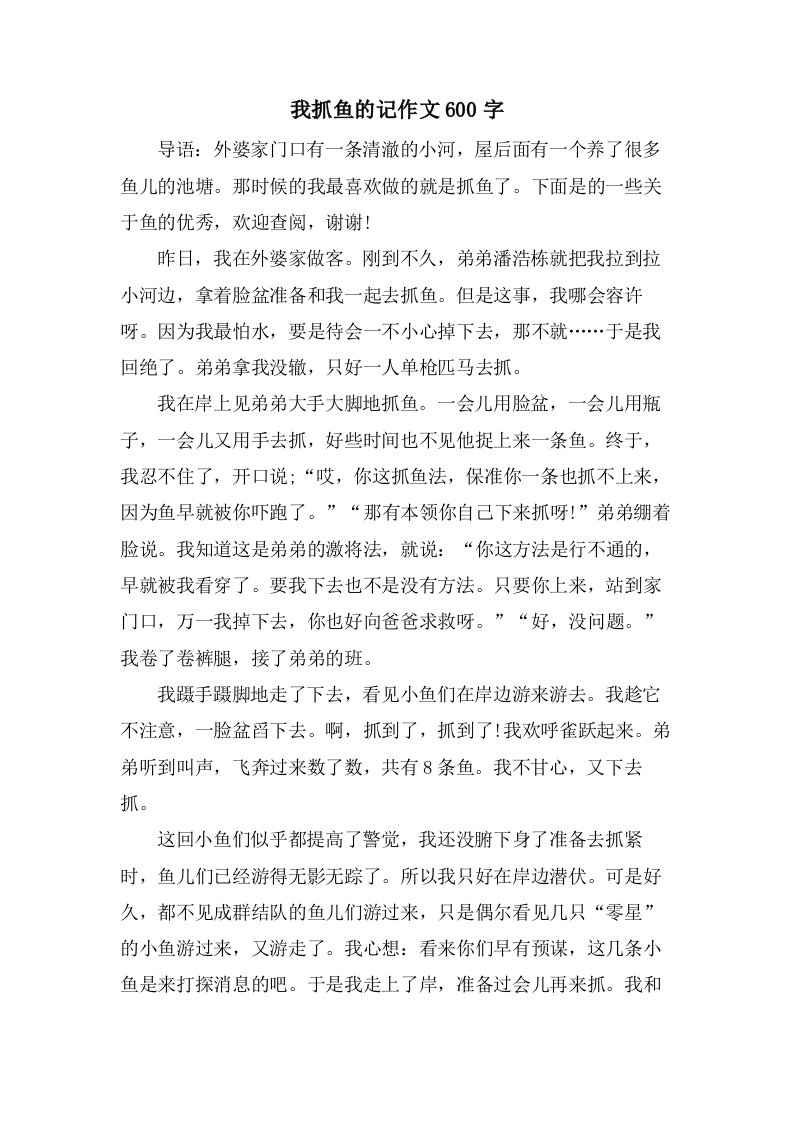 我抓鱼的记作文600字