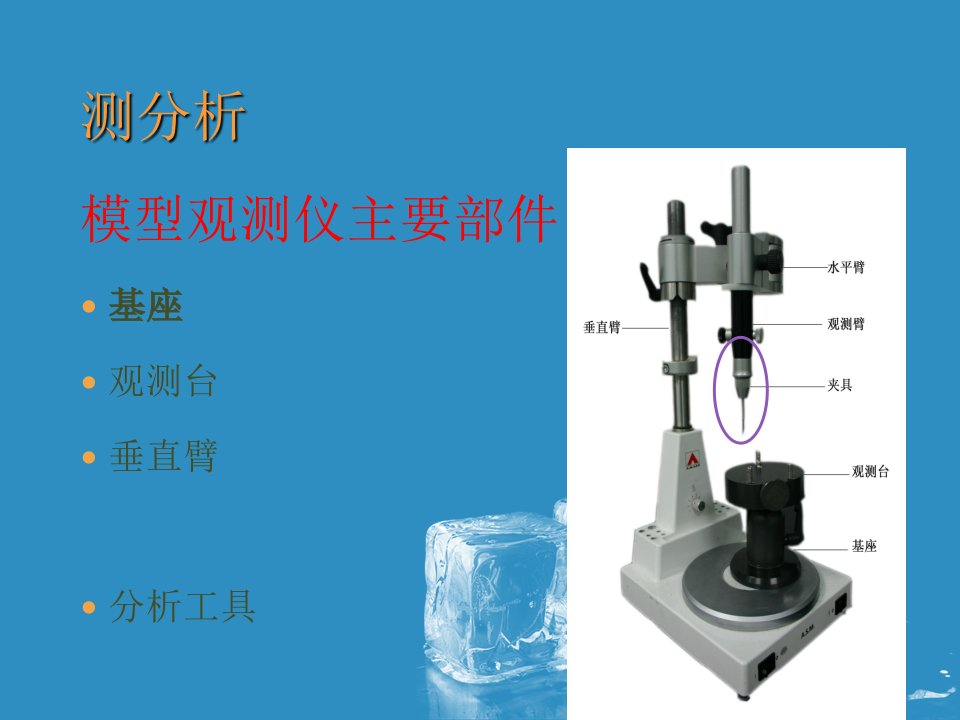 可摘局部义齿模型观测