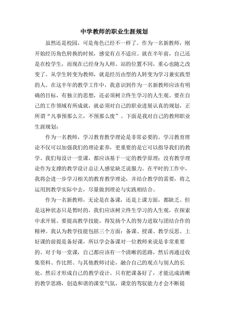 中学教师的职业生涯规划