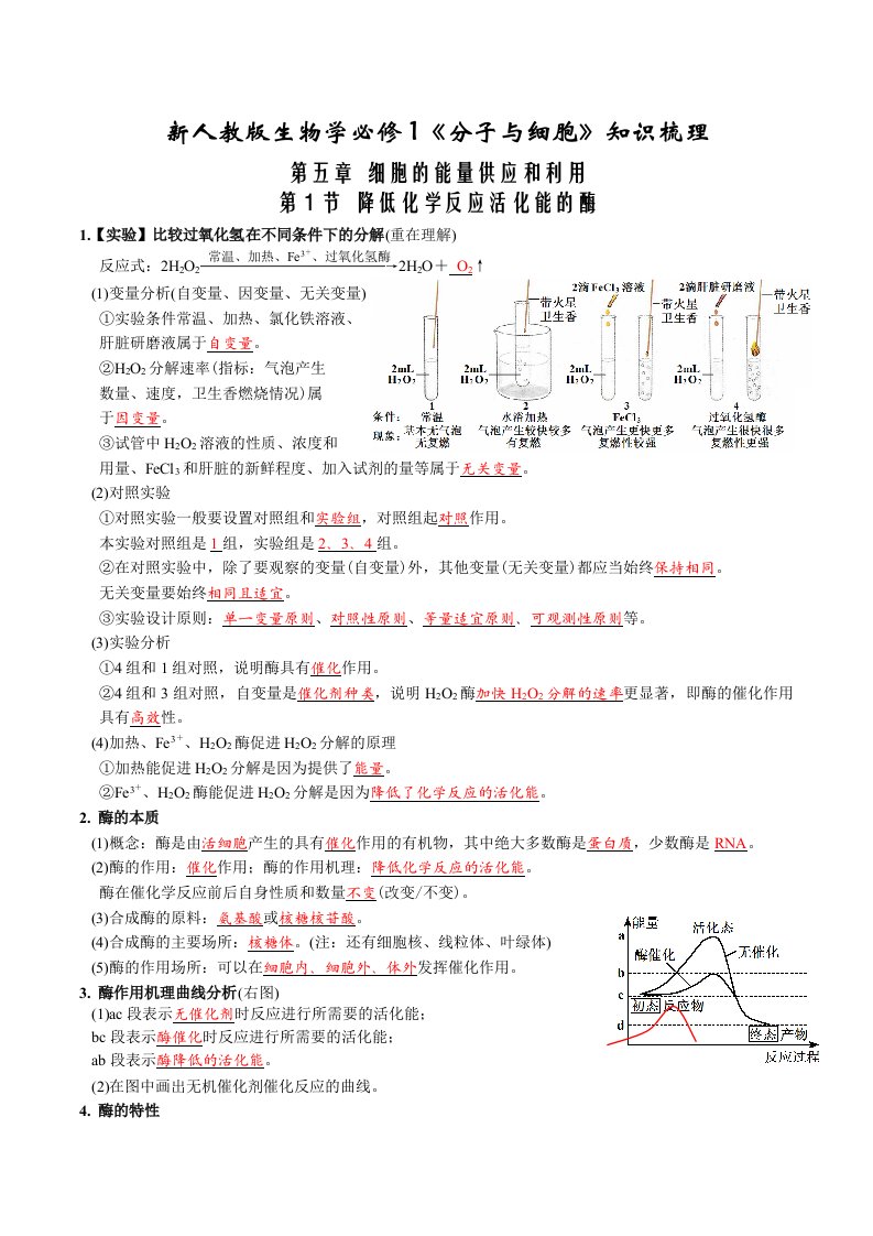 必备知识2022年高中生物第5章细胞的能量供应和利用知识梳理背诵版新人教版必修1