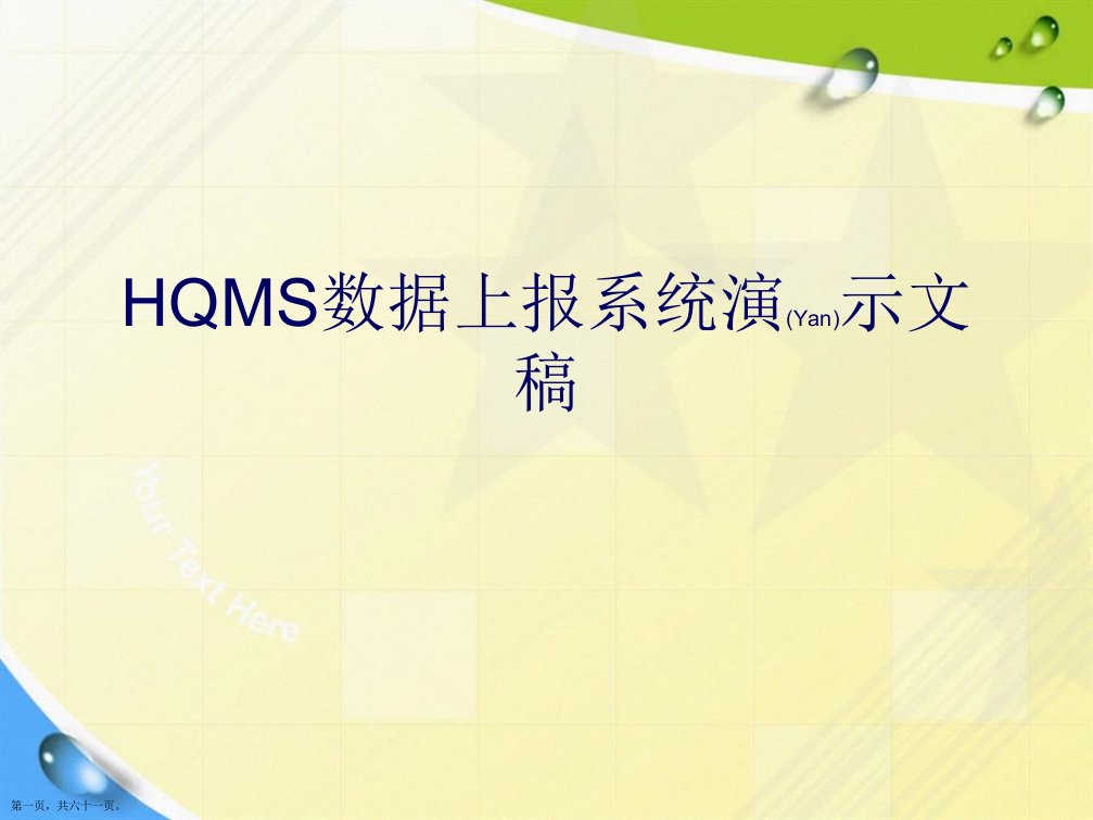 HQMS数据上报系统演示文稿