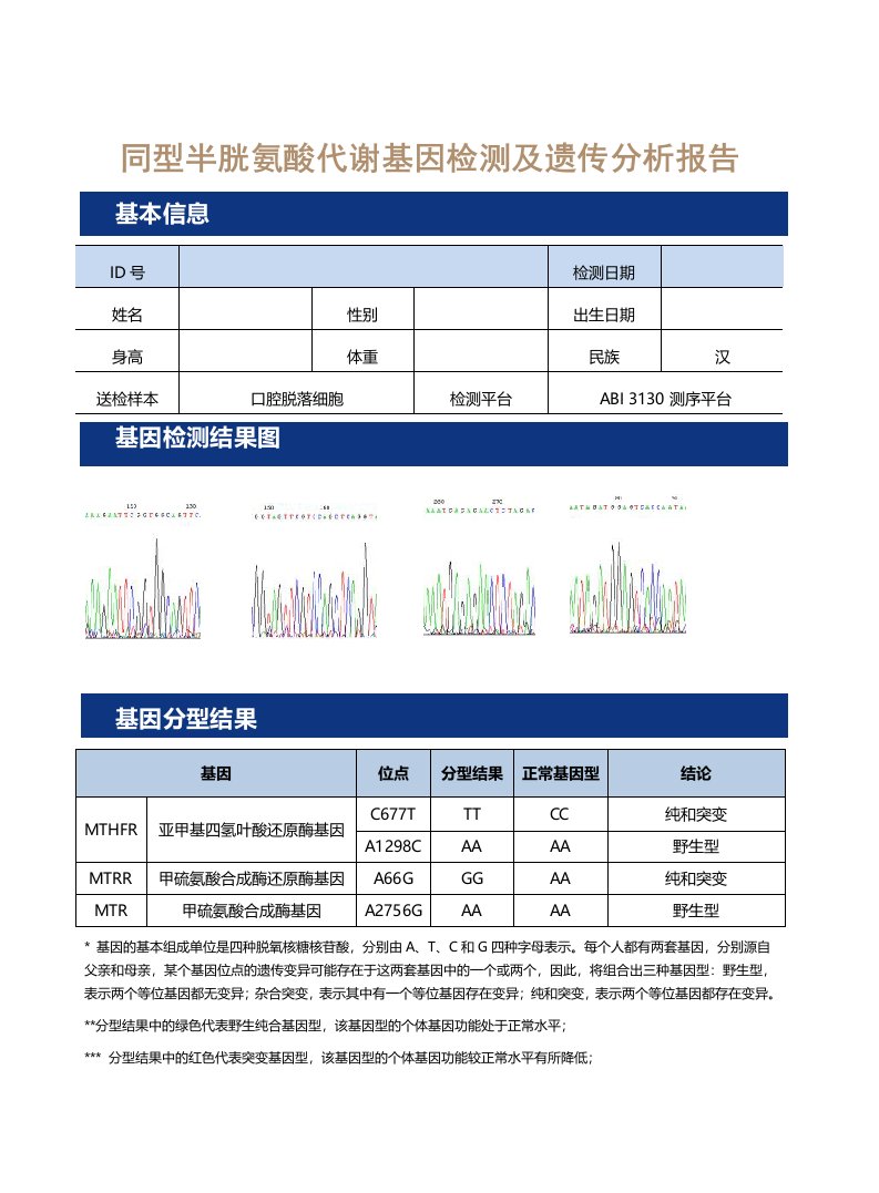 同型半胱氨酸代谢基因检测报告(模板)