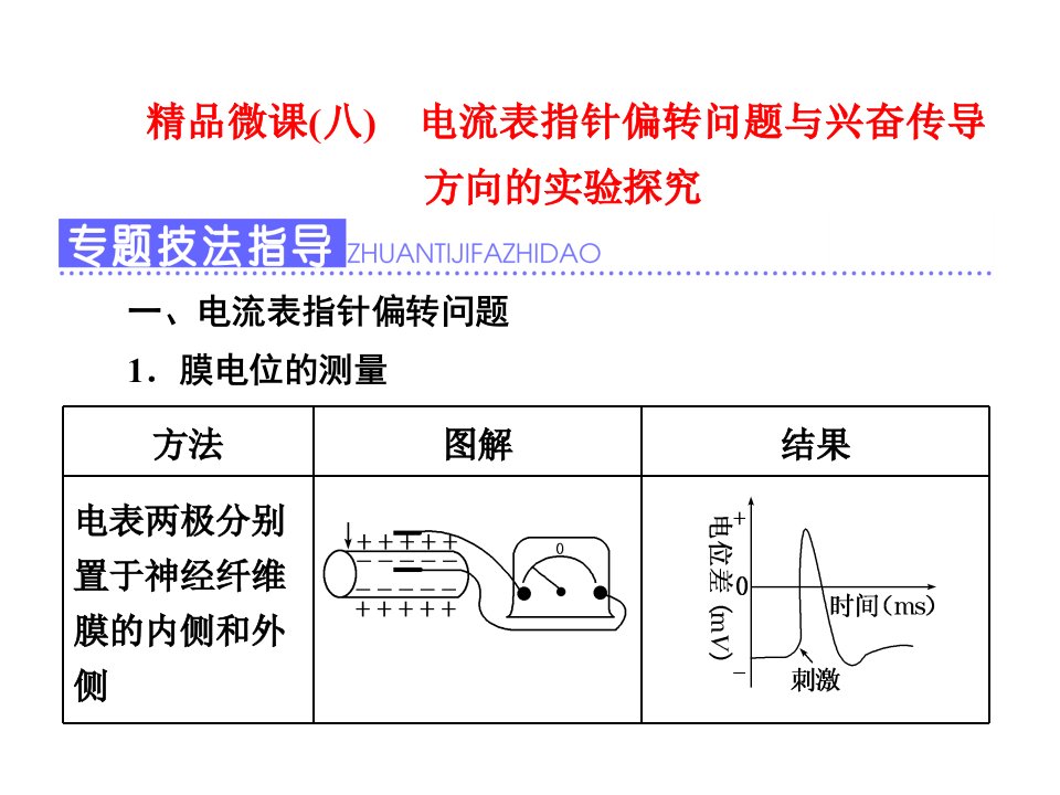 电流表指针偏转问题与兴奋传导方向的实验探究