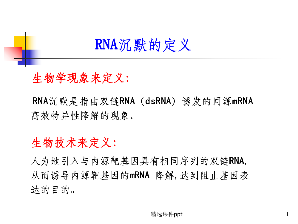 《rna干扰机制》PPT课件