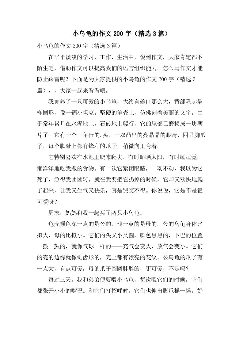 小乌龟的作文200字（3篇）