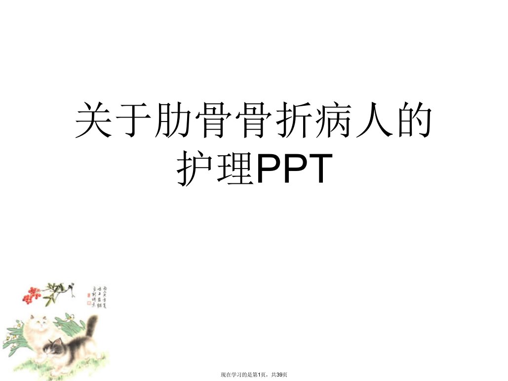 肋骨骨折病人的护理PPT课件