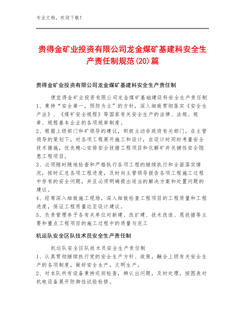 贵得金矿业投资有限公司龙金煤矿基建科安全生产责任制规范(20)篇