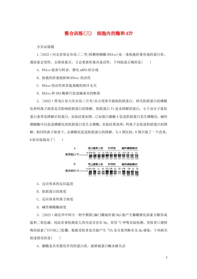 2023新教材高考生物二轮专题复习整合训练三细胞内的酶和ATP