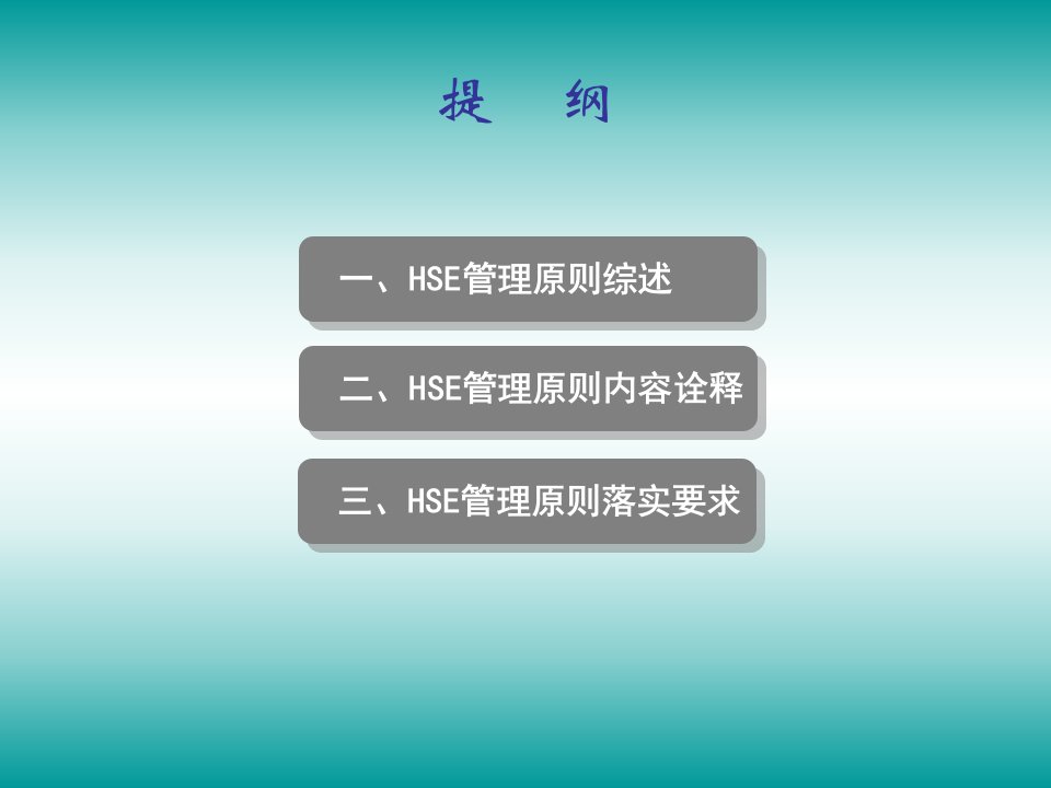 HSE管理原则释义