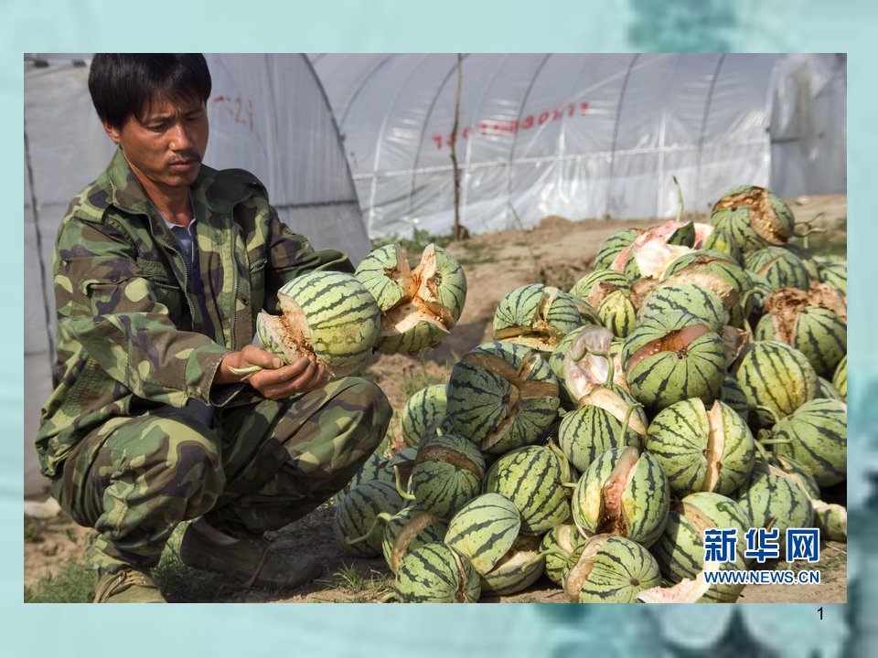 第三章-食用油脂掺伪检验ppt课件