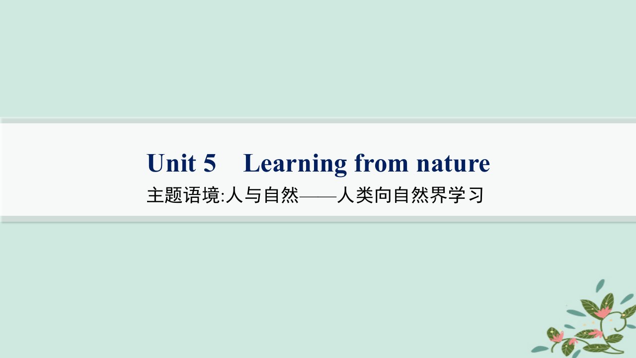 适用于新高考新教材备战2025届高考英语一轮总复习教材知识复习Unit5Learningfromnature课件外研版选择性必修第三册