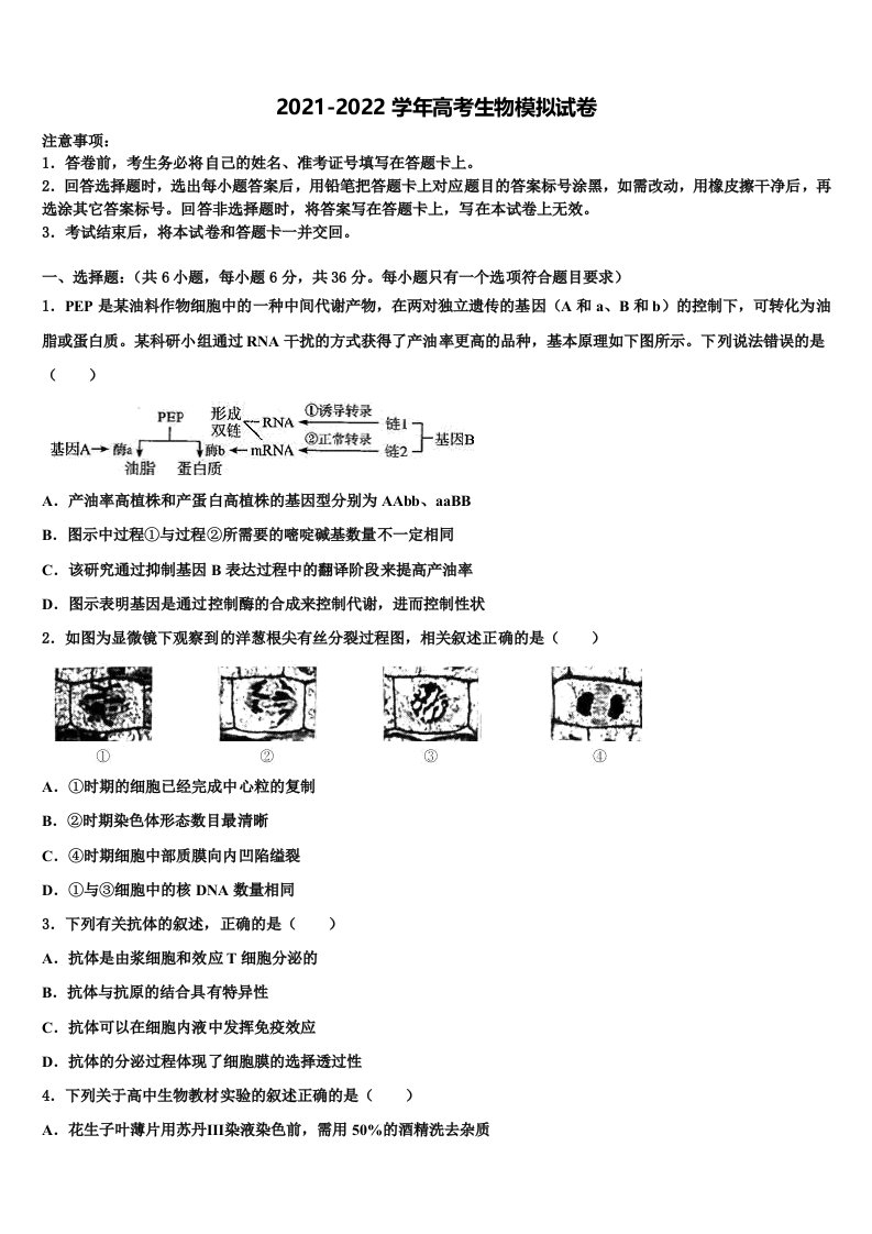 河北省衡水滁州分校2021-2022学年高三第四次模拟考试生物试卷含解析