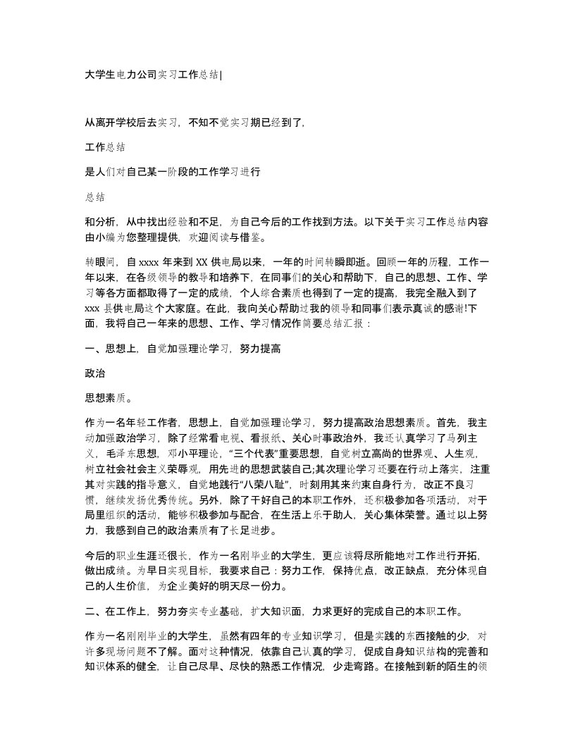 大学生电力公司实习工作总结