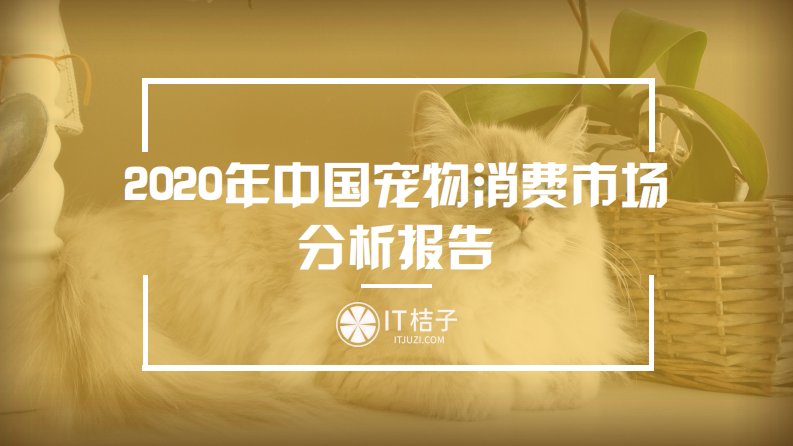 IT桔子-2020年中国宠物消费市场分析报告-20201222