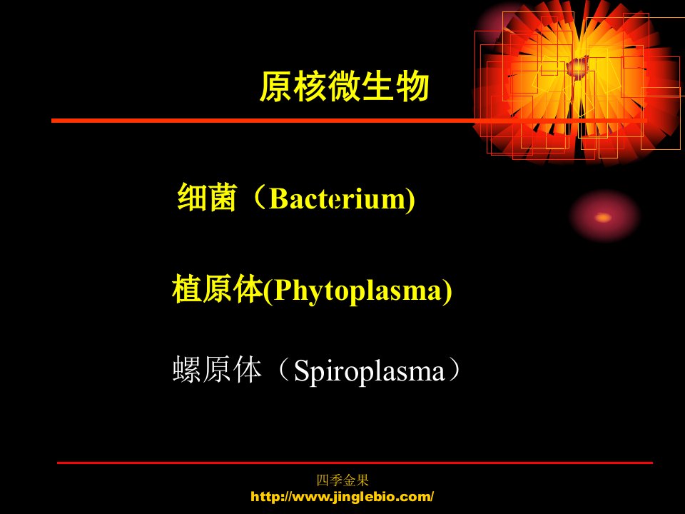 最新园林植物病理学第三章植物病原细菌和其它原核生物PPT课件