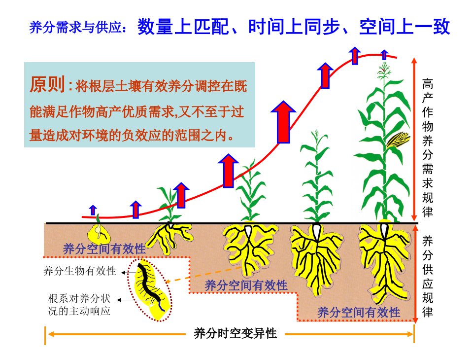 几种主要作物的施肥方法ppt课件