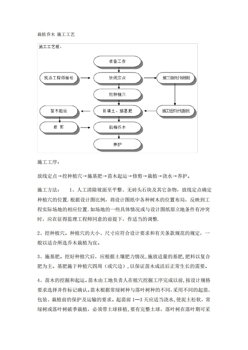 栽植乔木