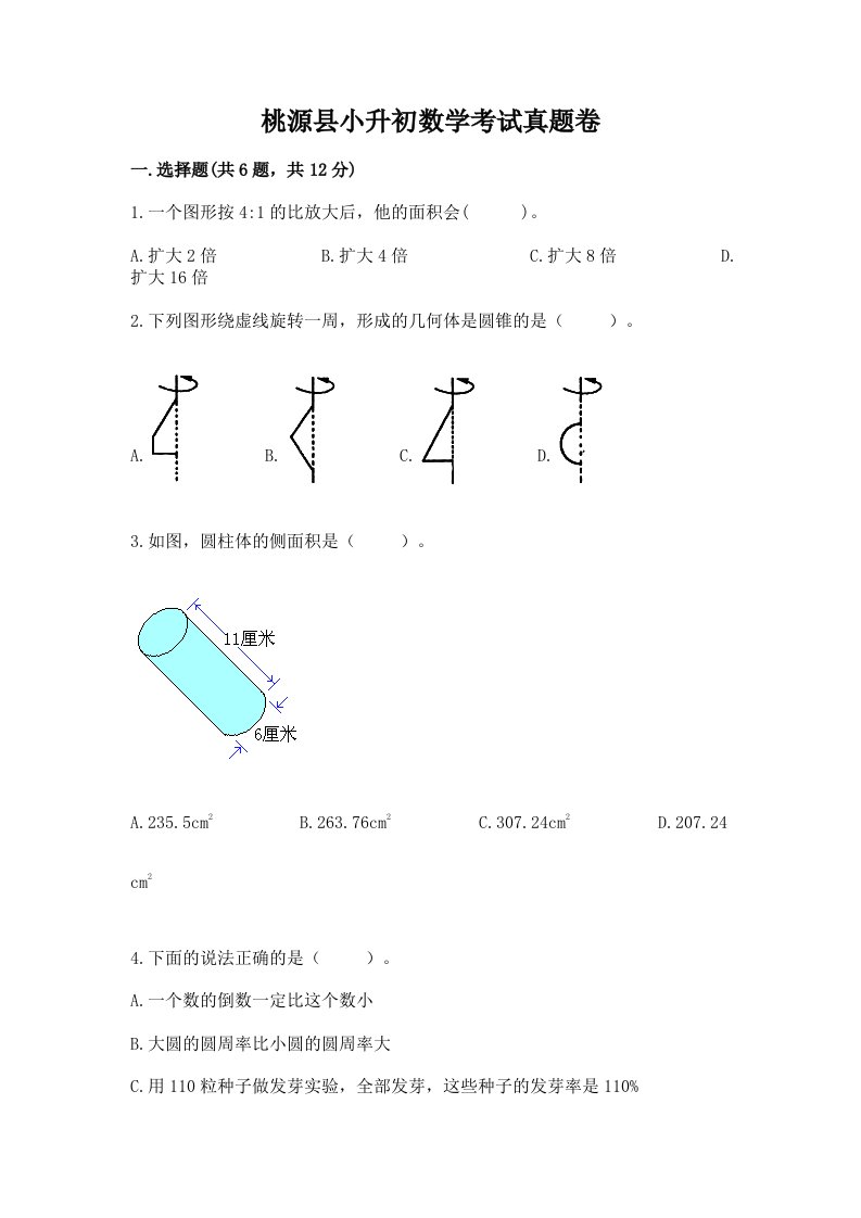 桃源县小升初数学考试真题卷最新