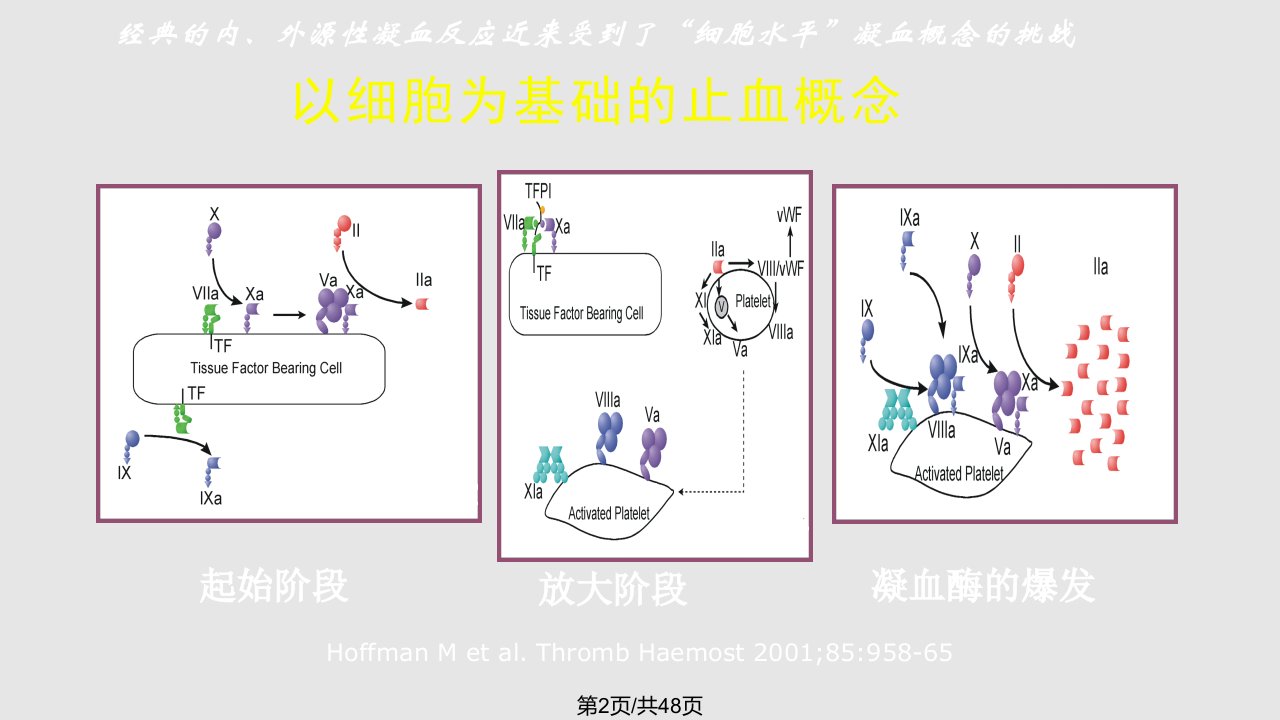 ACT及TEG的原理及操作