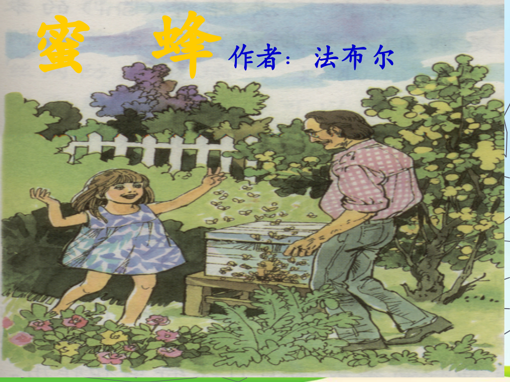 三年级上语文课件《蜜蜂》