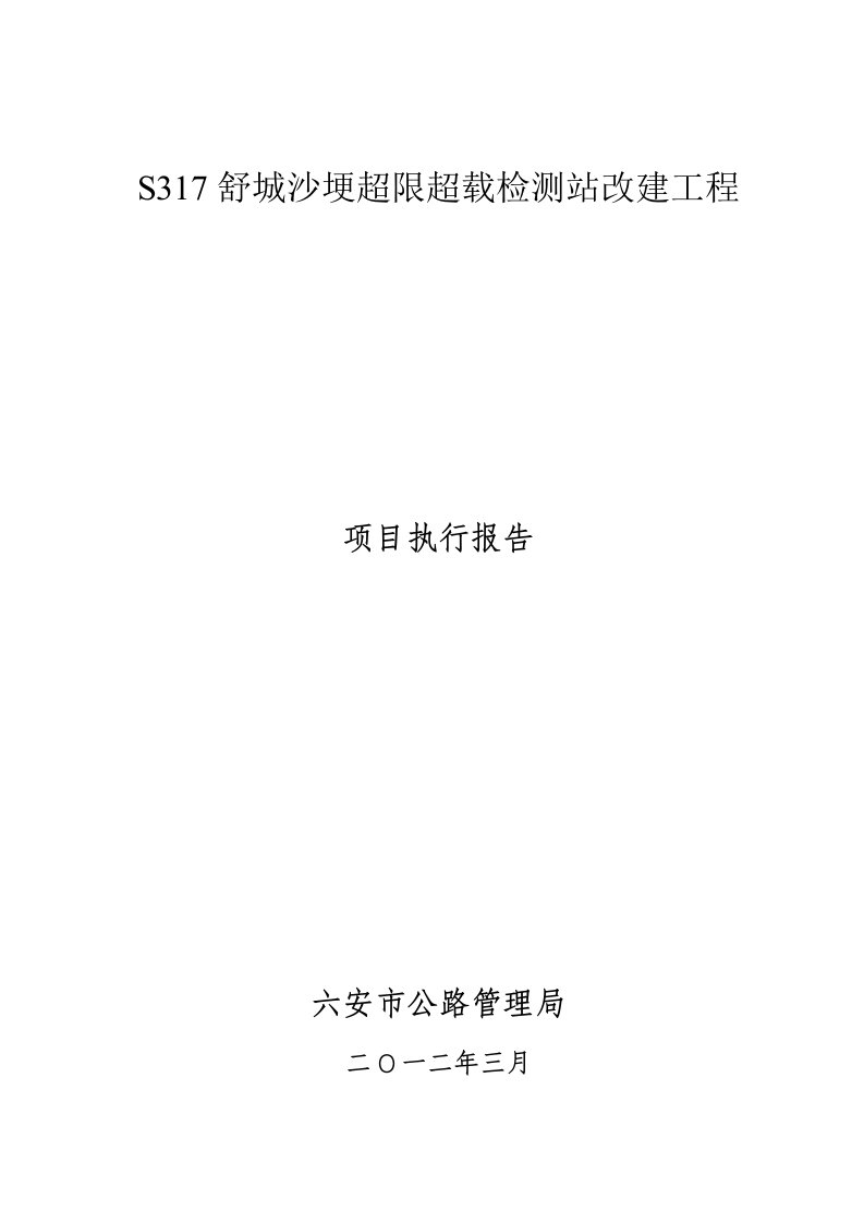 317项目执行报告1