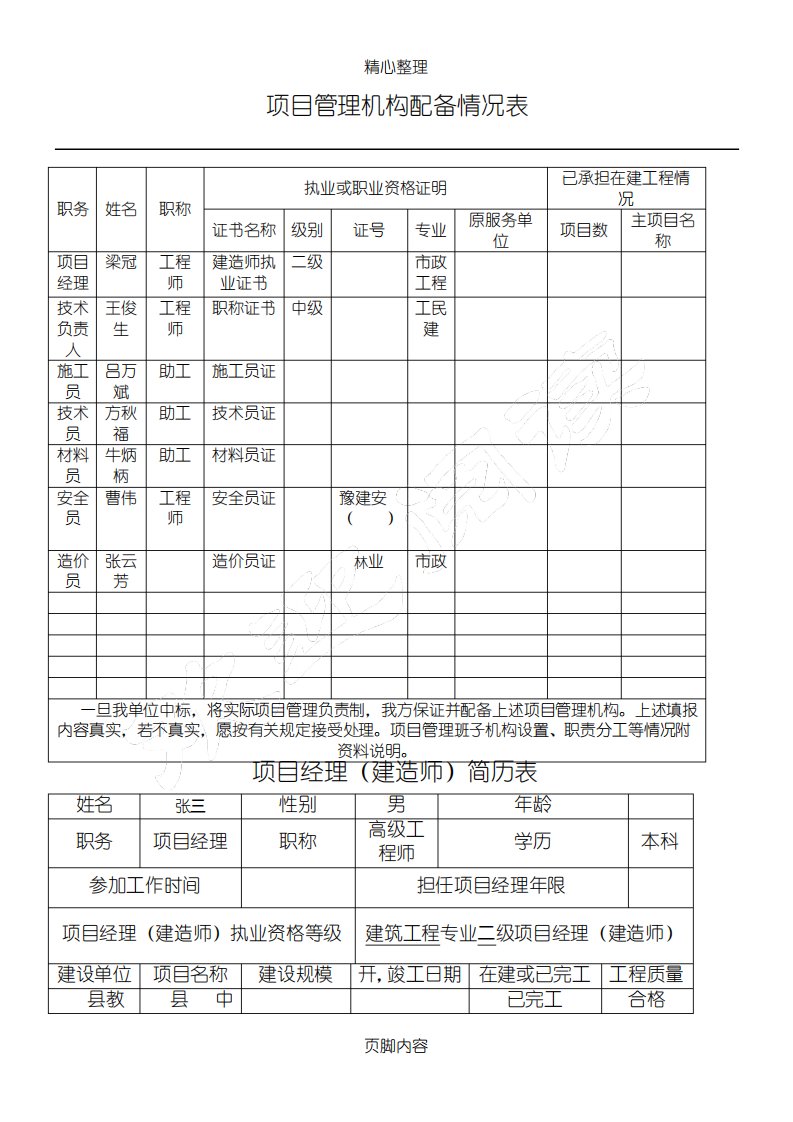 项目管理机构配备情况表格模板