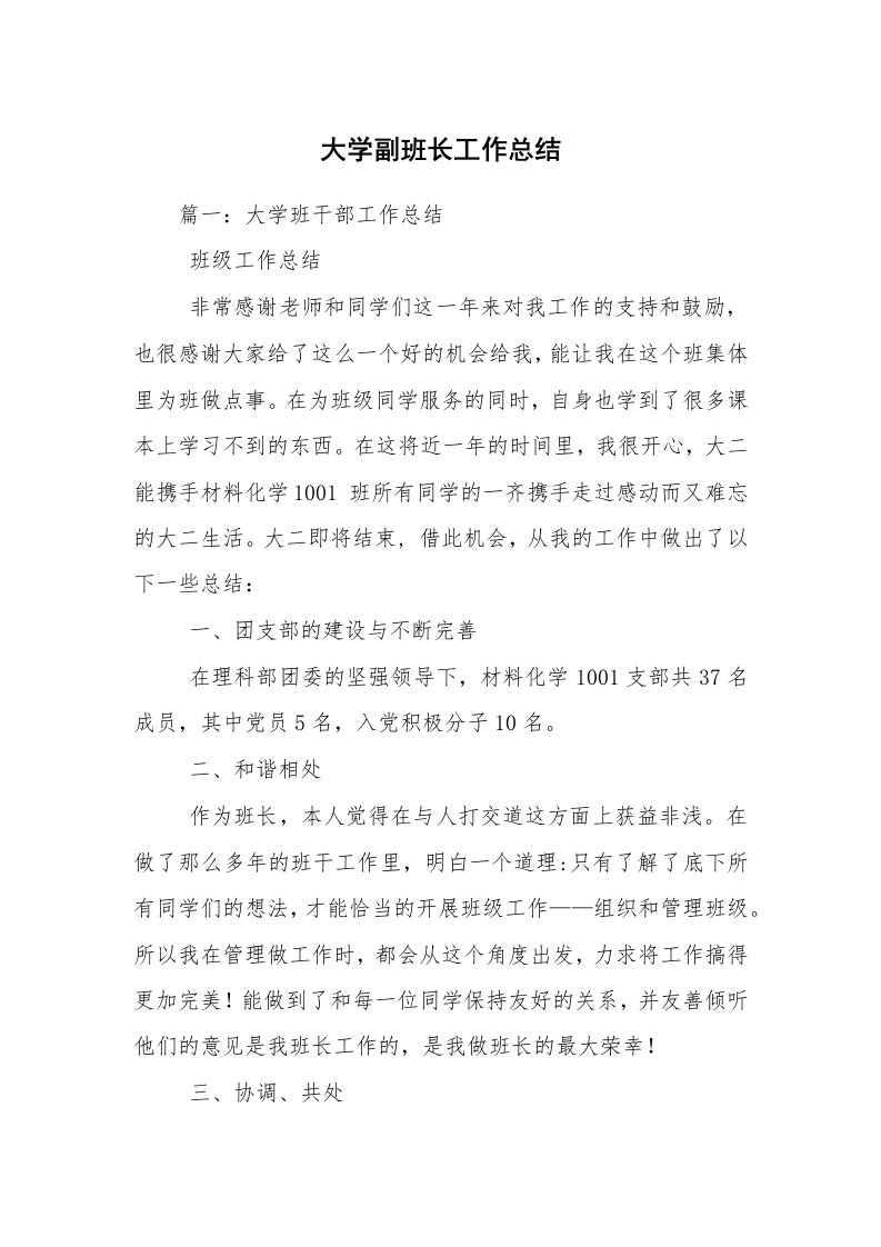 大学副班长工作总结