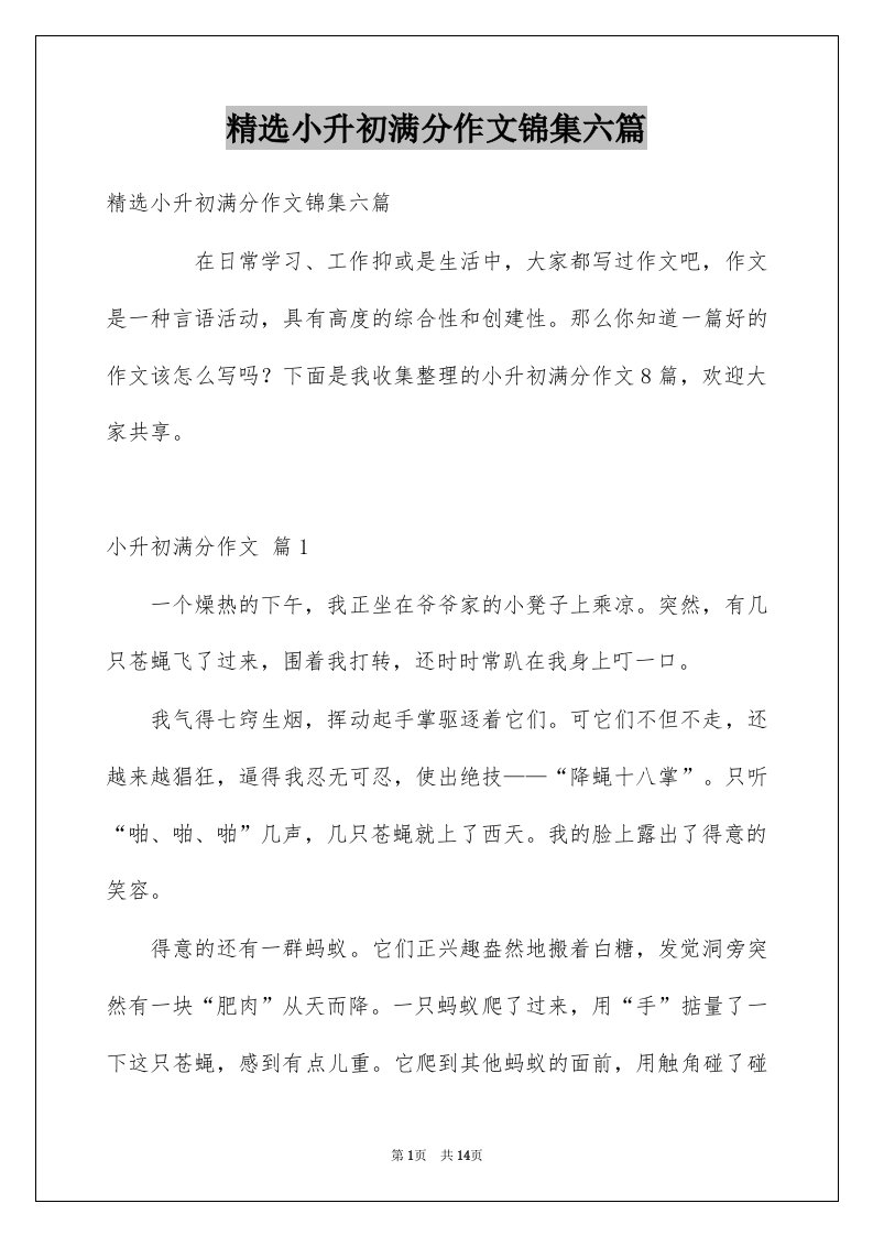 小升初满分作文锦集六篇例文