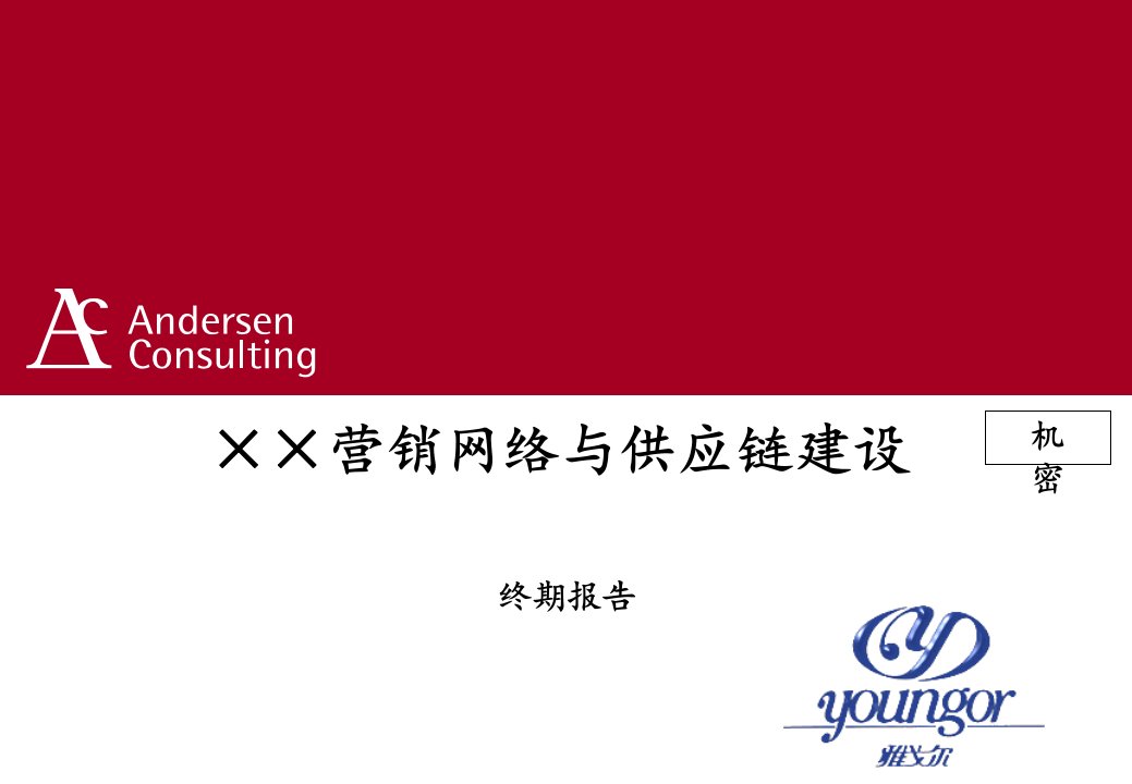 推荐-××营销网络与供应链建设终期报告