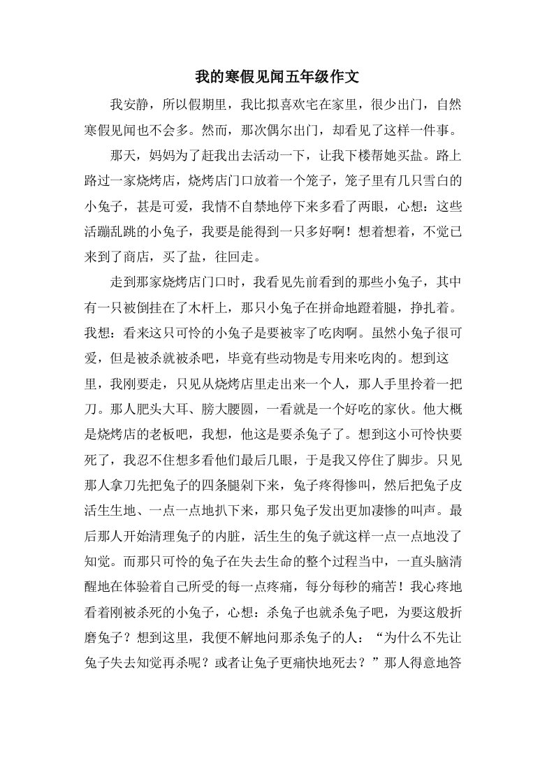 我的寒假见闻五年级作文