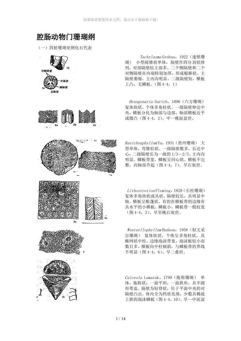 古生物化石鉴定