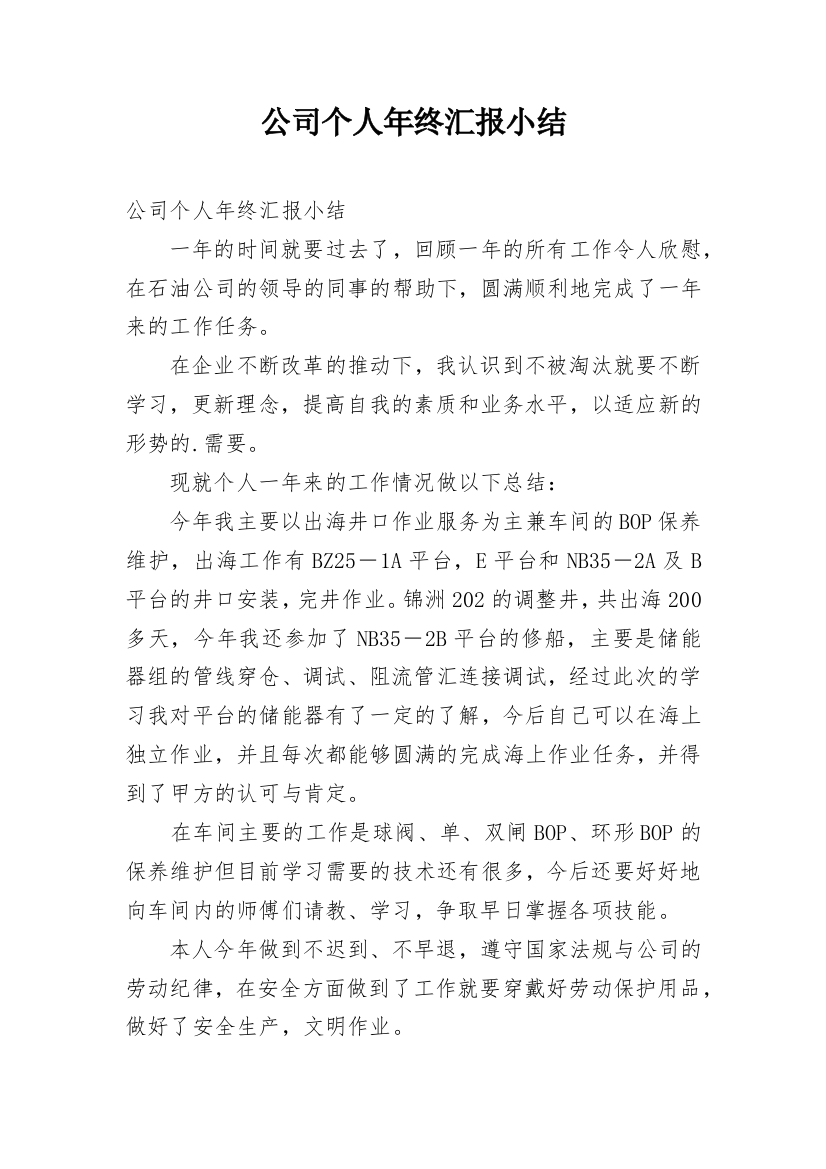 公司个人年终汇报小结