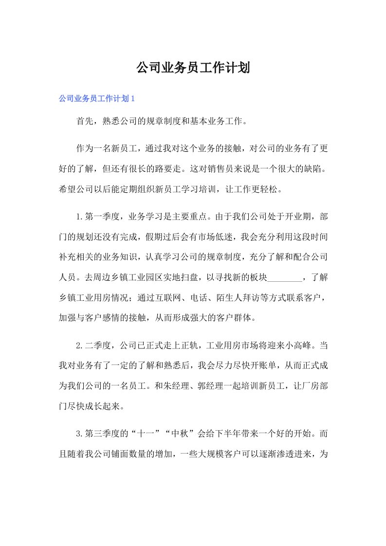 公司业务员工作计划