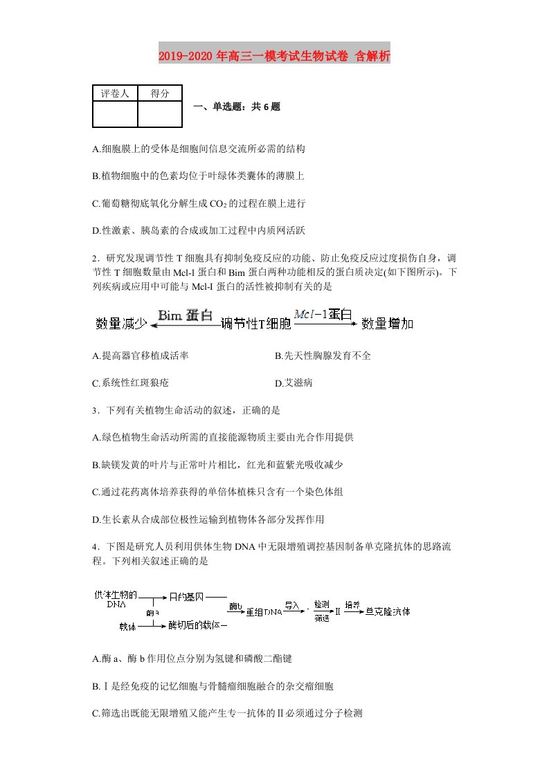 2019-2020年高三一模考试生物试卷