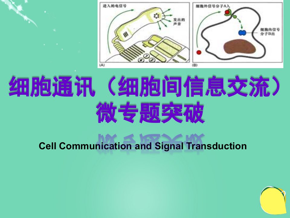 浙江省嘉兴市高三生物