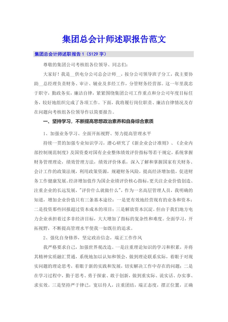 集团总会计师述职报告范文