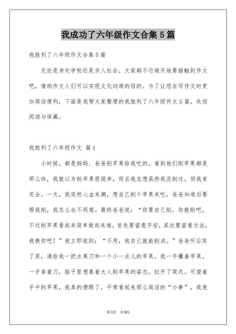 我成功了六年级作文合集5篇