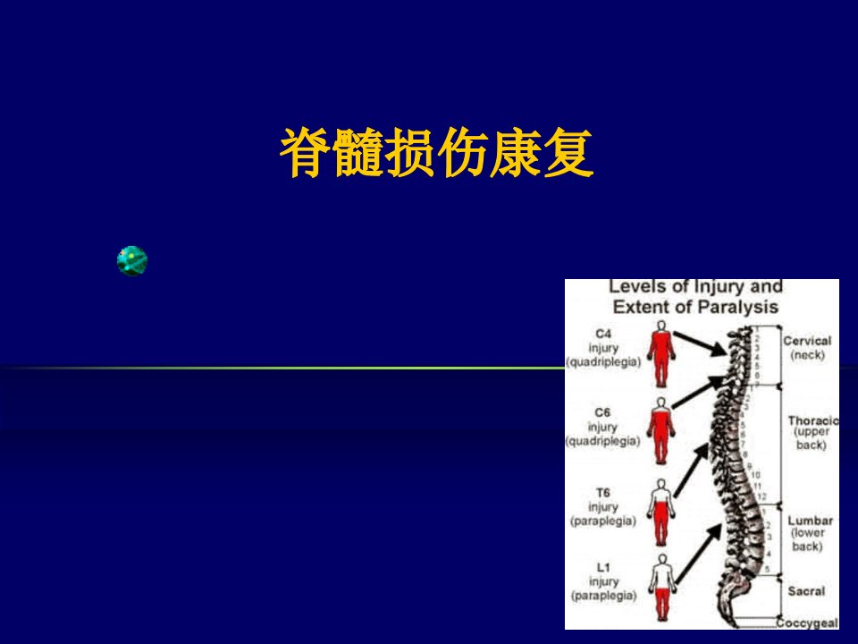 脊髓损伤康复-PPT课件