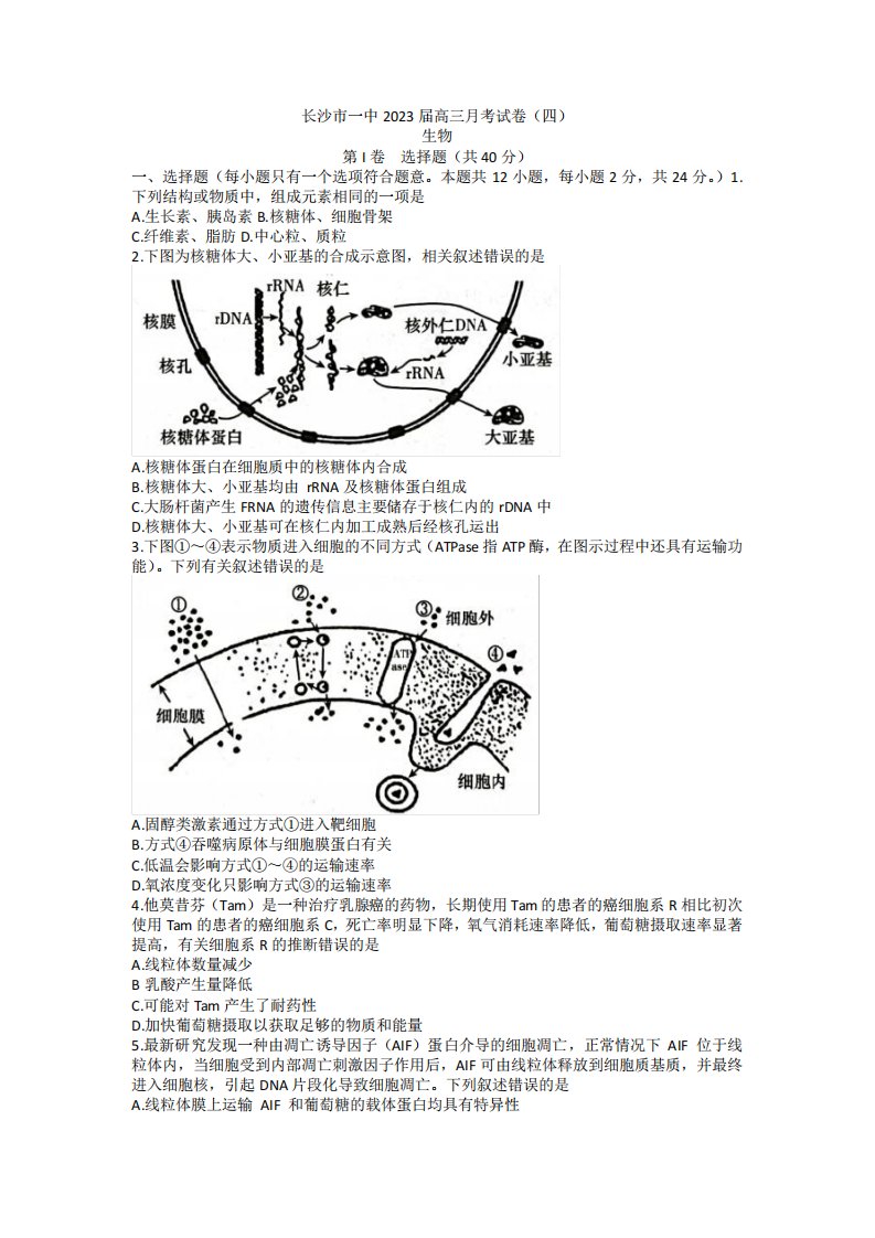 2023湖南省长沙市第一中学2022-2023学年高三上学期月考(四)生物试题