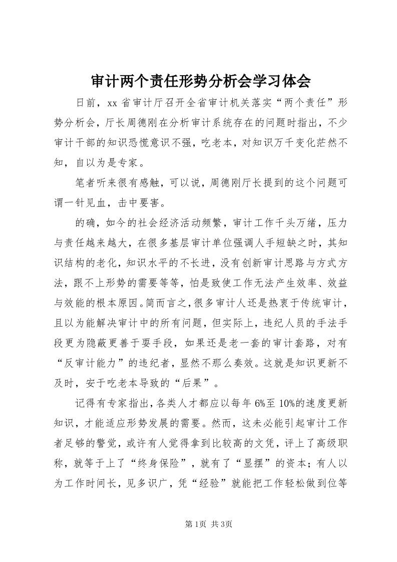 5审计两个责任形势分析会学习体会