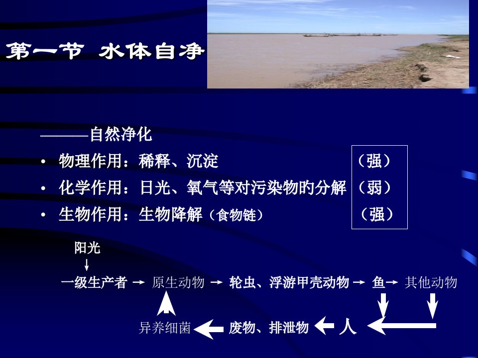 新版污废水深度处置和中微生物的原理市公开课获奖课件省名师示范课获奖课件