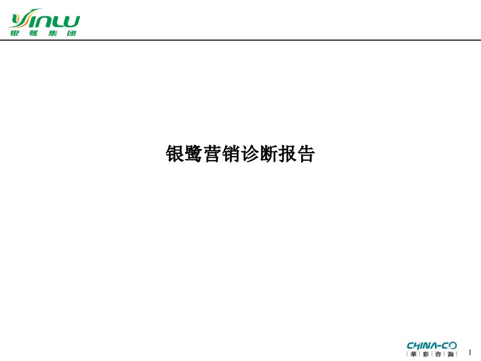 华彩咨询—银鹭营销诊断报告(ppt