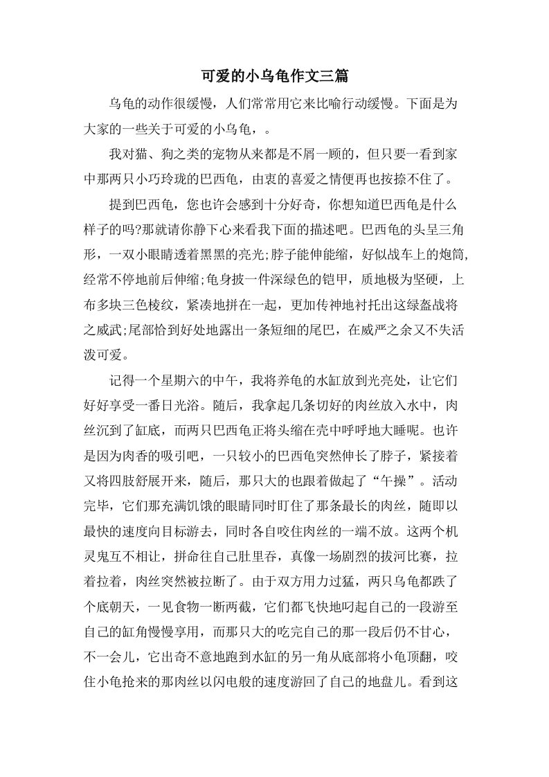 可爱的小乌龟作文三篇