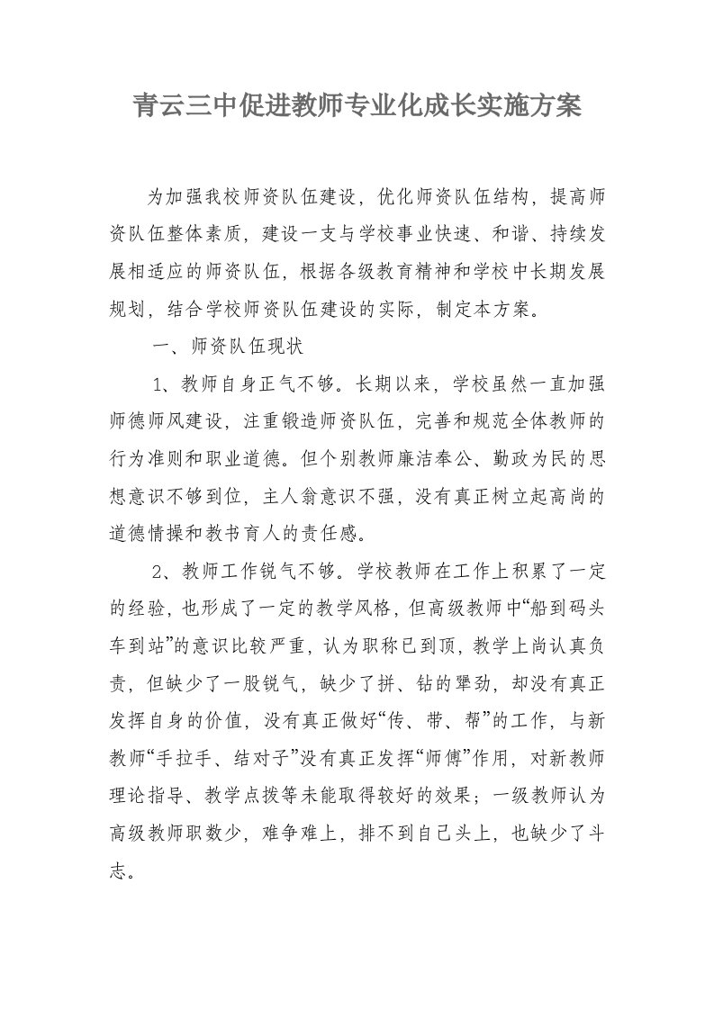 2教师专业化成长实施方案